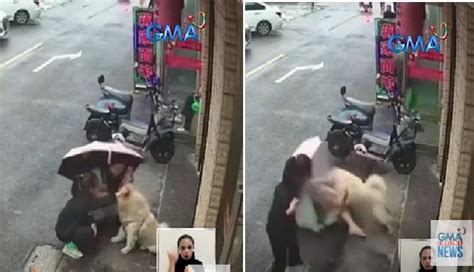 babae nagpakantot sa aso|Babaeng lumapit sa aso na nasa gilid ng daan, sugatan matapos .